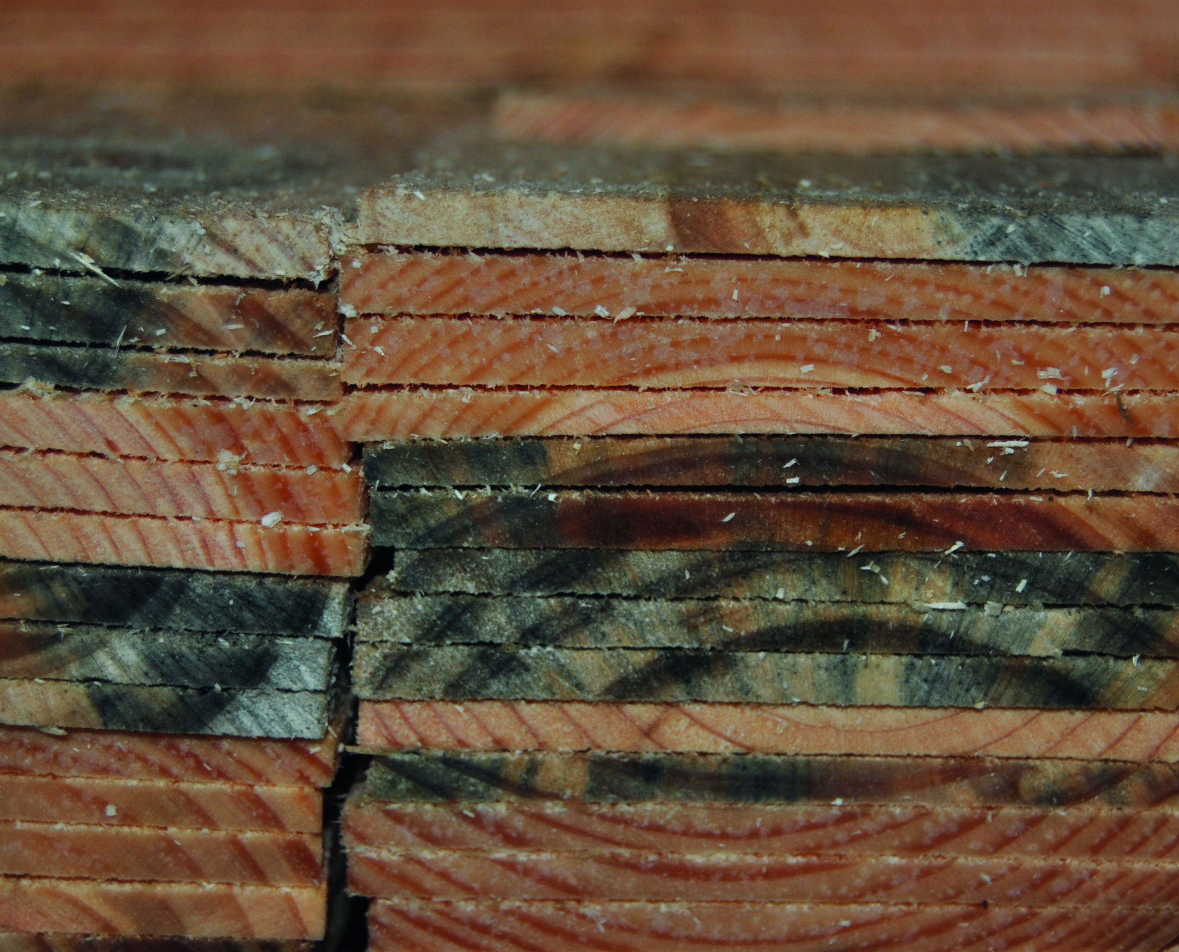 wood blueing phenomenon